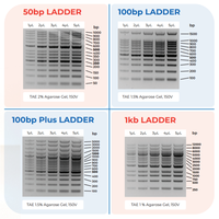 Gel Rouge Optimisé Pré-coloré pour Marqueur ADN pour Électrophorèse ADN sur Agarose Liquide 250 µl Pureté 99,9 %