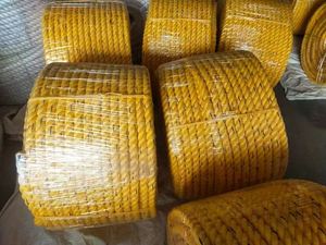 pp Pe Floating Rope Packed in Coil, Biggest Sale the Best Quality pp Danline Rope 6mm-40mm 3-4 Strands, PP Twisted Rope - Product Image 2