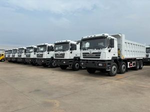<span class=keywords><strong>Camion</strong></span> benne d'occasion à couple élevé, robuste, 6x4, 8x4, 12 roues, 10 roues, avec conduite à gauche, moteur diesel Shacman - Product Image 3