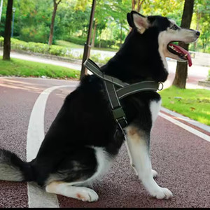 Arnês Do Cão Personalizado com Reflective Nylon Acoplado Acoplado Anti-Strain para Médios e <span class=keywords><strong>Extra</strong></span> Grandes Gatos Pet Leash - Product Image 3