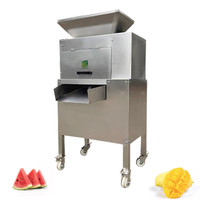 Peterselie Watermeloen Sap Koude Pers Extractor Commerciële Industriële Mango Juicer Fruitpulp Procesmachine