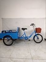 Triciclo de Carga de 3 Ruedas con Estructura de Acero para Adultos, Asiento Cómodo, Seguro, Carrocería Abierta, Rickshaw, Triciclo de Pasajeros, Exportación, 20 Pulgadas, 100 kg