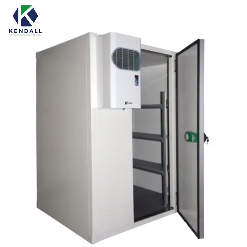 CE ISO Small Walk In Freezer Cold Room Storage Walk In Chiller Dry Cooler Cold Room