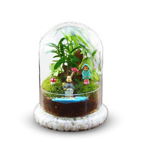 Vase de table moderne en verre dôme transparent glaçure transparente décorative jardin de noël nature plantes mousse présentoir base pour intérieur