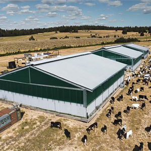 Estructura de Acero para Construcción de Establos de Vacas <span class=keywords><strong>con</strong></span> Acero Q345B para un Diseño de Granja Eficiente y Duradero - Product Image 1