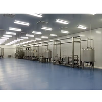 Berry, Riet, Citroenpulp Hoge Snelheid Automatische Appel Mango Druif Sinaasappelsap Verwerking Bottelmachine Lijn Plantensap Crusher Sinaasappel, Granaatappel