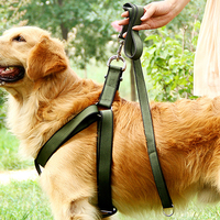 Vente chaude Durable Pour Animaux De Compagnie Harnais et Mis En Nylon Ensemble Harnais et Laisse Pour Chien pour les Chiens Moyens et Grands