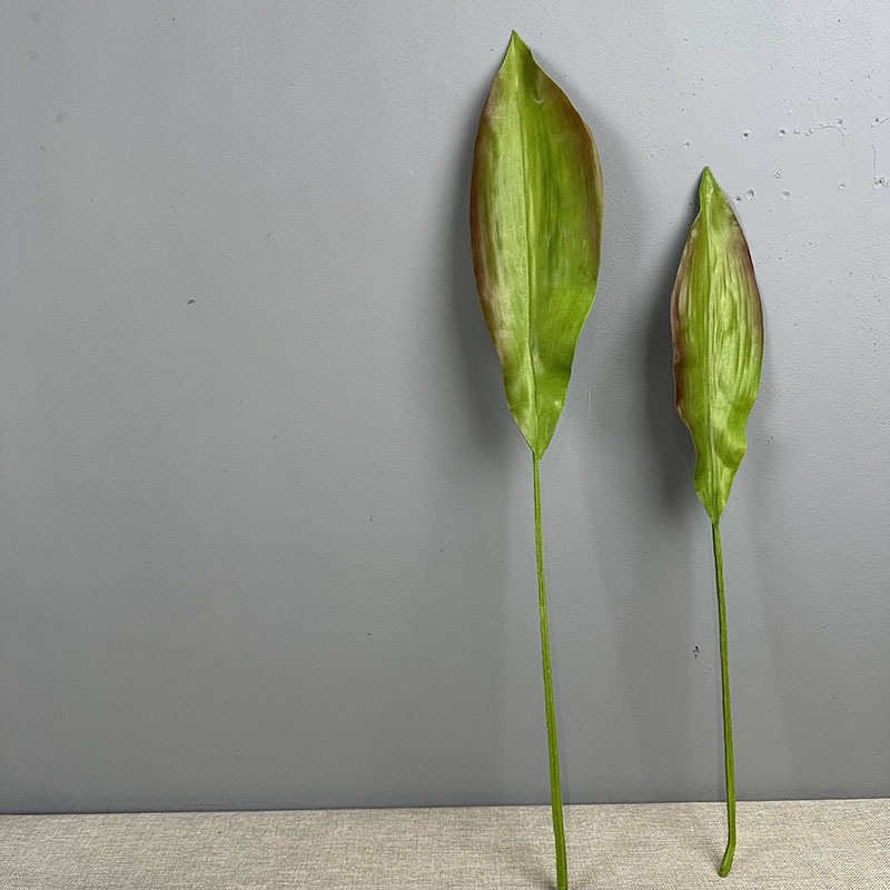 Large Brown Edge