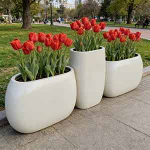 Vaso Ovale Grande Bianco Versatile Stile Shabby Chic <span class=keywords><strong>per</strong></span> <span class=keywords><strong>Piante</strong></span> <span class=keywords><strong>Grasse</strong></span> e Tropicale, Vaso da Fiori Alto Verniciato a Polvere - Vendita all'Ingrosso - Product Image 2