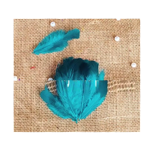 Petites plumes teintes naturellement en vrac pour la décoration intérieure, les ateliers de création, les thèmes de fête et les projets artistiques - Product Image 1