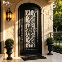 Porte d'entrée en fer forgé cintrée avec verre trempé, revêtement poudré, antirouille, design décoratif pour maison de luxe
