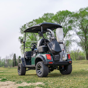Productos Más Vendidos, Carrito de Golf Personalizable con Múltiples Configuraciones de Velocidad y Potencia para Satisfacer Diferentes Demandas - Product Image 3