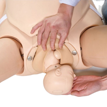 Усовершенствованная медицинская модель обучения Midwifery