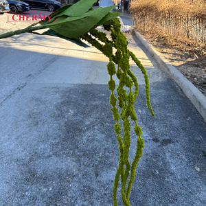 Nuovo Arrivo: Fiori Artificiali in Schiuma, <span class=keywords><strong>6</strong></span> Rami <span class=keywords><strong>di</strong></span> Amaranto Bianco e Verde, Piante Pendenti per Decorazioni Matrimoniali e Domestiche - Product Image 5