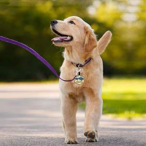 Etiquetas de Identificación Personalizadas de Silicona para Perros y Gatos - Etiqueta de Identificación Duradera, Impermeable y Elegante para Perros con Grabado Gratuito - Product Image 2