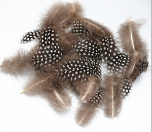 Plumas de Gallina de <span class=keywords><strong>Guinea</strong></span> con Puntos al por Mayor, 10g por Bolsa, para Manualidades, Suministros para Bodas, Disfraces de Mascarada, Ligeras y Fáciles de Usar - Product Image 3