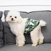 Vêtements pour animaux de compagnie : Culottes absorbantes pour chiens mâles, Ceintures d'étiquette pour chiens, Tapis de propreté pour chiens en polyester toutes saisons