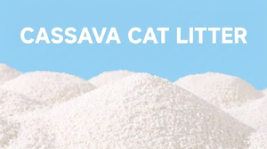 Litière pour chat en cassava naturelle, biodégradable, écologique, matériau durable, jetable aux toilettes, sans poussière, fournisseur de litière pour chat - Product Image 2