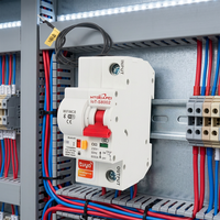 Disjoncteur intelligent Tuya Wifi 110KV/230KV 16A à 125A 1 pôle, commande vocale, compatible Google Home, contrôle à distance