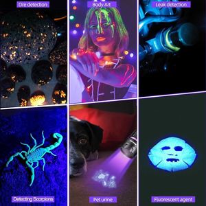 15W 365nm UV LED de alta potencia Blacklight linterna LCD USB recargable UV pegamento curado gato perro mascota mancha Tinea marcador lámpara antorcha - Product Image 4