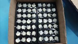 Spina in gomma personalizzata motore <span class=keywords><strong>di</strong></span> movimento della luce a LED per sfera <span class=keywords><strong>di</strong></span> vetro prodotti <span class=keywords><strong>fai</strong></span> <span class=keywords><strong>da</strong></span> <span class=keywords><strong>te</strong></span> per <span class=keywords><strong>globo</strong></span> <span class=keywords><strong>di</strong></span> <span class=keywords><strong>neve</strong></span> d'acqua motore elettrico accessori per fiocchi <span class=keywords><strong>di</strong></span> <span class=keywords><strong>neve</strong></span> - Product Image 5