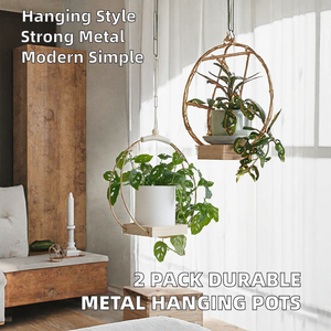 2 Pack Durable Powder Coated Metal Hanging Planter Shelf -Simple American Indoor Home <b>Plant</b> Hanger Window Ceiling <b>Wall</b> Black Iro - Product Image 2