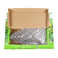 Vente en gros de répulsif anti-oiseaux anti-pigeon UV jetable en acier inoxydable pointe d'oiseau forme carrée feuille américaine contrôle des oiseaux animaux