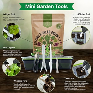 Bán tốt 22 loại Rau diếp không biến đổi gen và gia truyền và Salad rau xanh gói Bộ dụng cụ làm vườn bao gồm arugula và cải xoăn và nhiều hơn nữa - Product Image 5