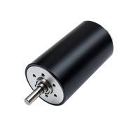 Pengganti Diameter 40Mm Maxon Motor RE40 Sikat Tanpa Inti Motor untuk Troli Golf Listrik Alat Pengemasan Robot