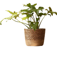 Fait à la main de 12 pouces petite corde de paille tissé Paneer moule fleurs extérieur noix de coco planteur enfants mur jouet pour application de jardin