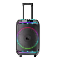 Valise portable d'extérieur, connectable en Bluetooth et équipée d'un microphone sans fil W12