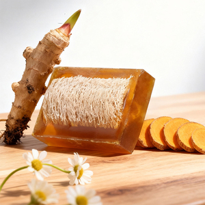 Savon de bain artisanal transparent aux huiles essentielles GINGER, barre corporelle exfoliante au loofah, anti-acné, nettoyant, massant et hydratant - Product Image 2