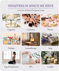 High Purity 100% Natural Ethyl Cinnamate CAS 103-36-6 With Best Price Ethyl Cinnamate Colorless Liquid Ethyl Cinnamate - Product Image 3