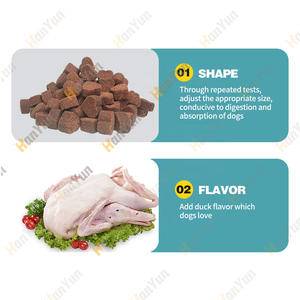 Estratto di cardo mariano curcuma curcumina colina cane funzione epatica Soft Chew Formula cani supporto integratore fegato - Product Image 4