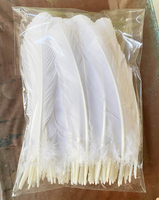Plume de dinde teinte coupée en forme de flèche pour artisanat, coiffes, costumes, accessoires de mode, décorations de fête et de carnaval
