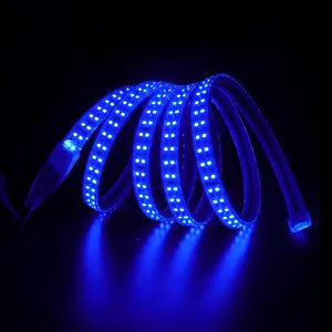China Supplier High Efficiency Flexible Rope Dimmable Park 220V LED Neon Light