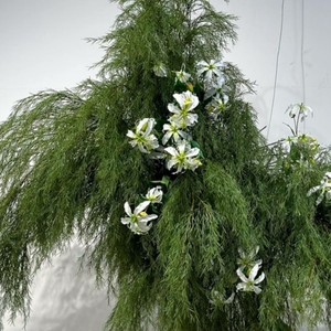 Colonne de fleurs artificielles en roseaux style <span class=keywords><strong>Mori</strong></span>, best-seller Xiaohongshu, avec feuilles de saule et plantes aériennes suspendues pour aménagement paysager - Product Image 1