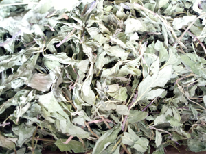 Nouvelle feuille de menthe japonaise crue séchée Sakhalin feuilles de menthe thé à vendre - Product Image 4