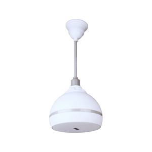 Altavoz de bola altavoz colgante blanco bola suspendida altavoz colgante - Product Image 1