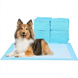 Tapis d'entraînement jetables antidérapants pour chiots avec bandes adhésives, sous-couches pour animaux de compagnie - Product Image 1