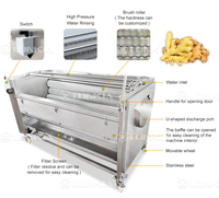 Machine à laver et à éplucher industrielle pour pommes de terre, carottes et oignons, gingembre et patates douces