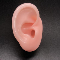 En gros Géométrique Rond Or support silicone oreille pour Designer Déclaration Hoop Boucles d'oreilles bijoux présentoir piercing modèle