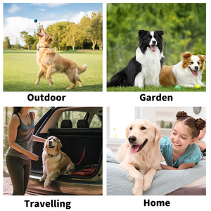 Lingettes pour animaux de compagnie, pour chiens et chats, paquet de 6 pièces, hypoallergéniques, non parfumées, nettoyantes et désodorisantes - Product Image 5