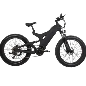 New Style Carbon Fiber E Bike 1000w Biggest Power 1500w Mid Motor Electric Carbon Mountain Ebike