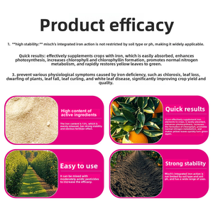 Fertilizante <span class=keywords><strong>foliar</strong></span> de hierro quelado Mish de alta calidad al 13%, en polvo, soluble en agua, estable y eficiente, micronutriente <span class=keywords><strong>para</strong></span> arroz, maíz y <span class=keywords><strong>trigo</strong></span> - Product Image 5