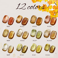 12 couleurs ambre oeil de chat Gel polonais Collection automne populaire lampe à LED Source personnalisé OEM/ODM marque Service