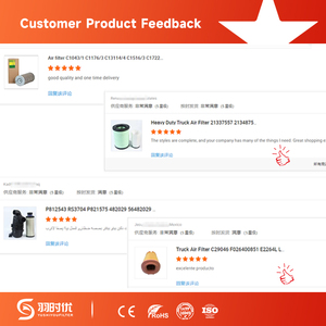 Filtro Aria per Camion P781465 0030949504 con Carbone Attivo, Ampia Applicabilità, Funzionamento Stabile, Protezione per Mercedes-Benz - Product Image 6