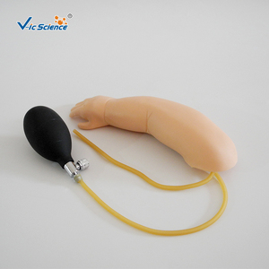 Suministros Médicos: Brazo de Entrenamiento Avanzado para Punción Arterial en Bebés, para Educación Escolar - Product Image 4