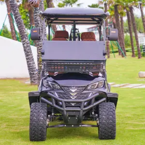 2024 New Design 72V High Power OEM Hot Sale Low MOQ Anti-rust Cart Body Bintelli Golf Cart