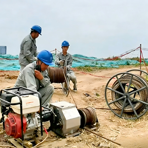 Fournisseur chinois de moteurs électriques à essence et diesel de <span class=keywords><strong>3</strong></span> <span class=keywords><strong>tonnes</strong></span> pour la construction et le levage - Product Image 5